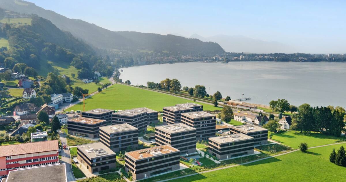 iR Wohnbau_Seedomizil_c)backbone