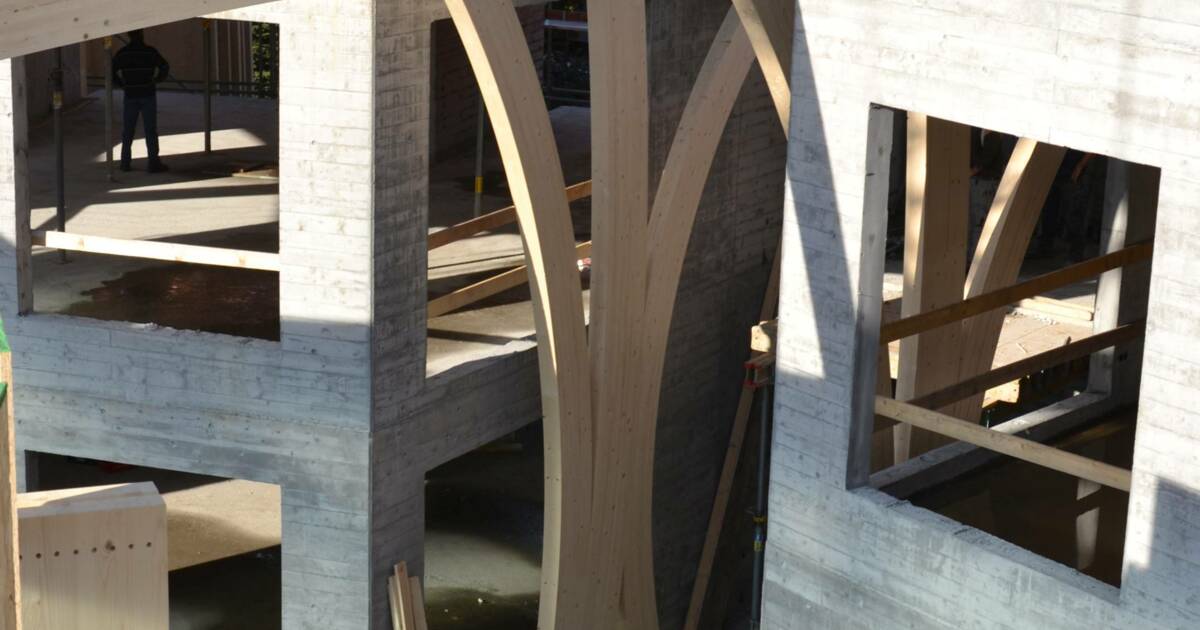 i+R Holzbau Kindercampus Höchst Referenz