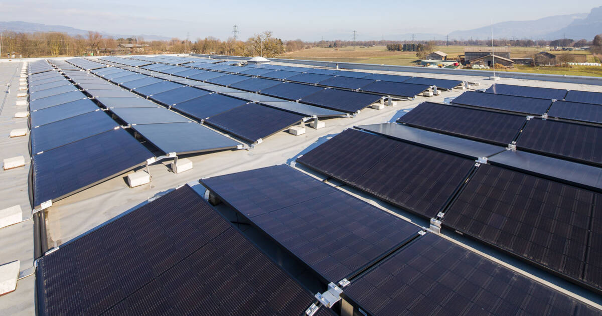 260209Pointner_CRwalser_012