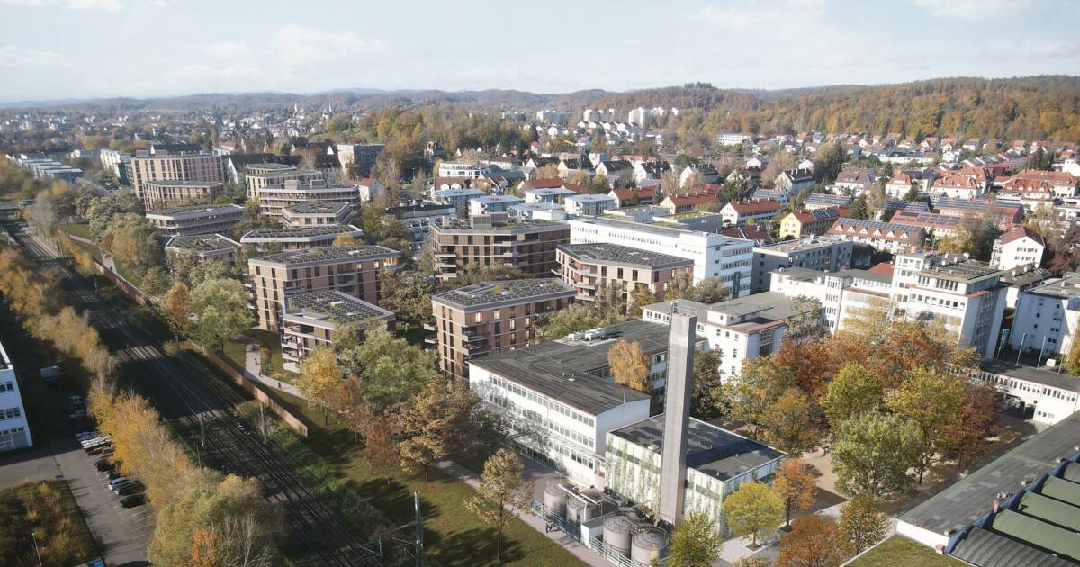 Bücklepark, Konstanz | i+R Wohnbau Lindau