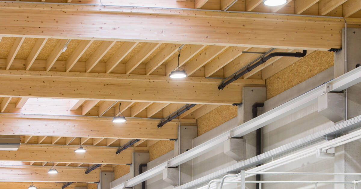 260209Pointner_CRwalser_028