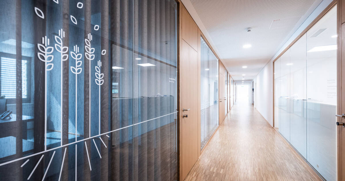 Bäckerei Mangold | Dornbirn (A) © Fasching GmbH