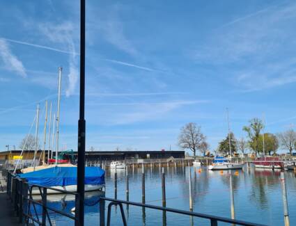 20240405_121905 20240405_121905