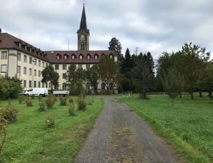 Osttrakt Osttrakt