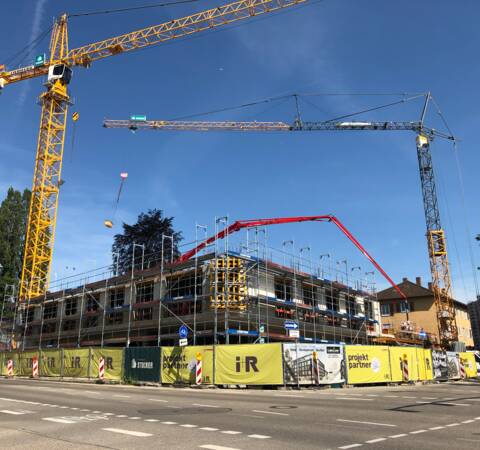 Hotel Lukullum | Friedrichshafen (D) Hotel Lukullum | Friedrichshafen (D)