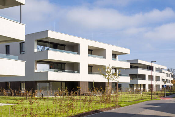 Südwestansicht_Wiesenstraße_Höchst_2