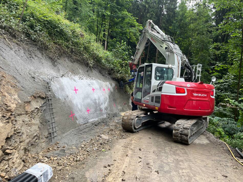 Stadtwald Fluh | Bregenz (A) Stadtwald Fluh | Bregenz (A)